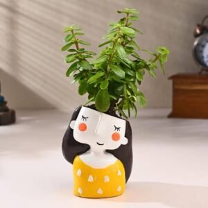 Syngonium Plant In Quirky Girl Ceramic Pot