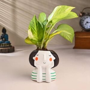 Whole Fresh Garlic Bulbs